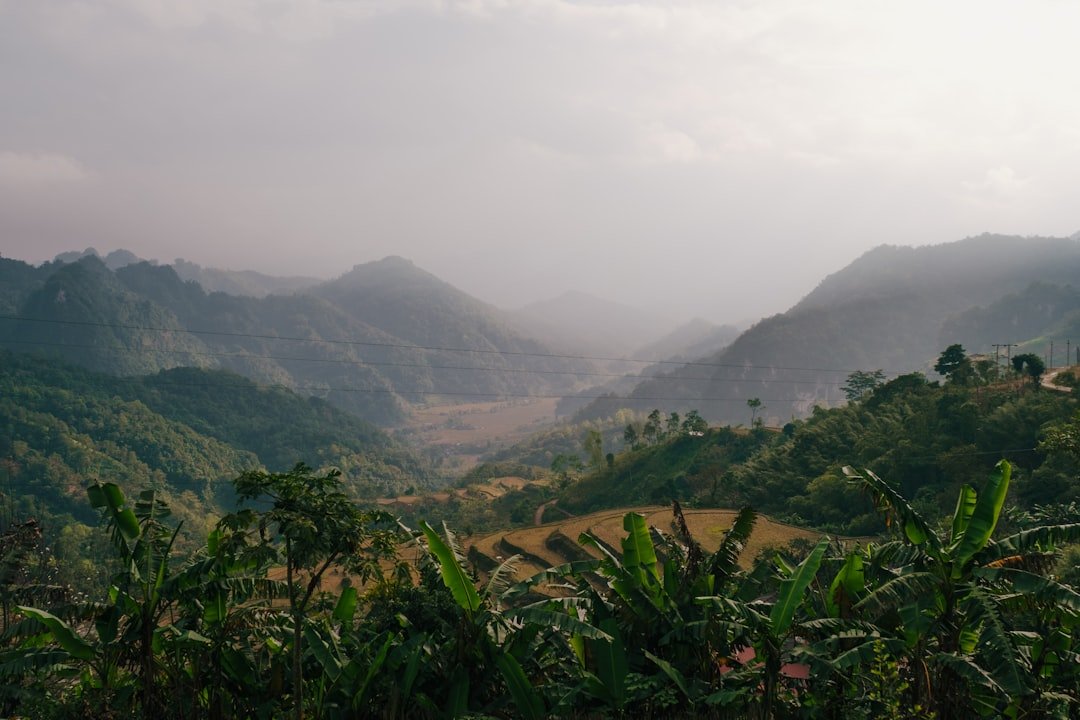a view of a valley with mountains in the background