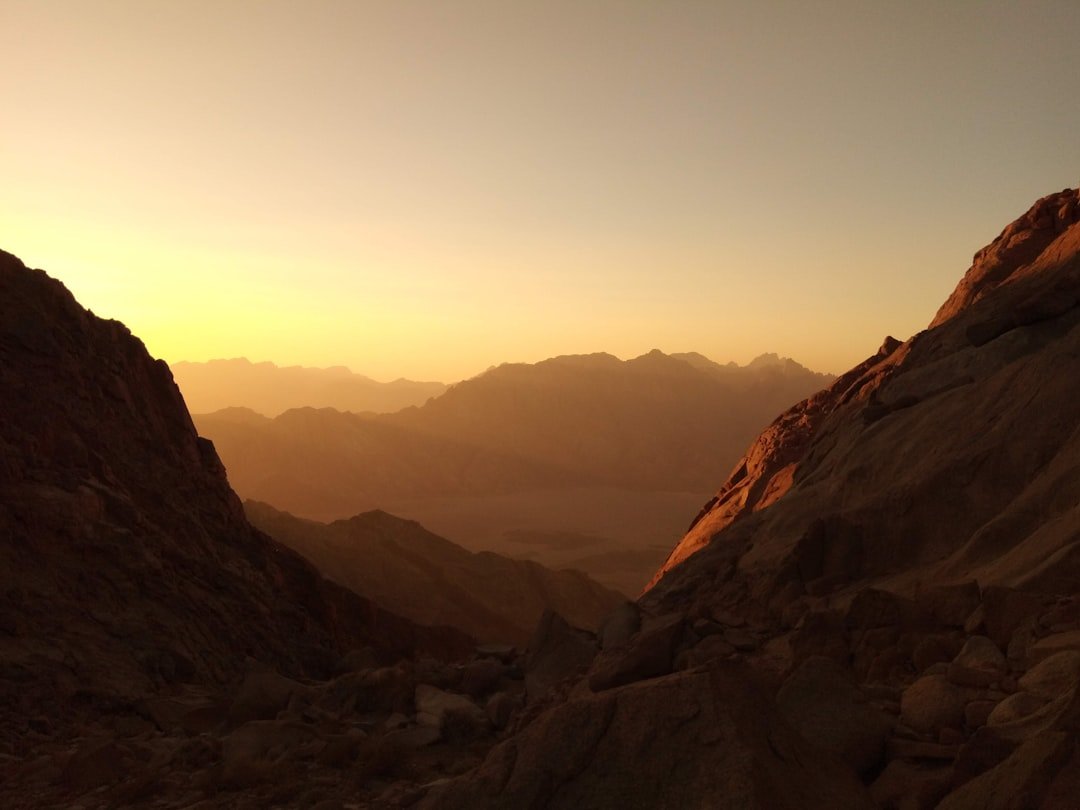 The Curse of the Pharaohs: What Really Happened After Tutankhamun's Tomb