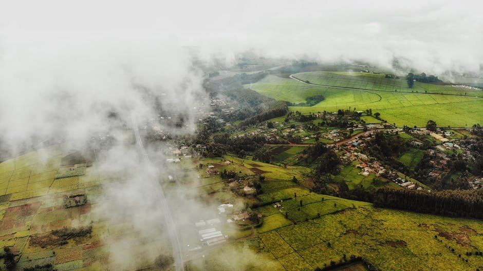 Vista da drone di piantagioni verdi e campi vicino a un villaggio con edifici e alberi in una giornata estiva sotto un cielo nuvoloso
