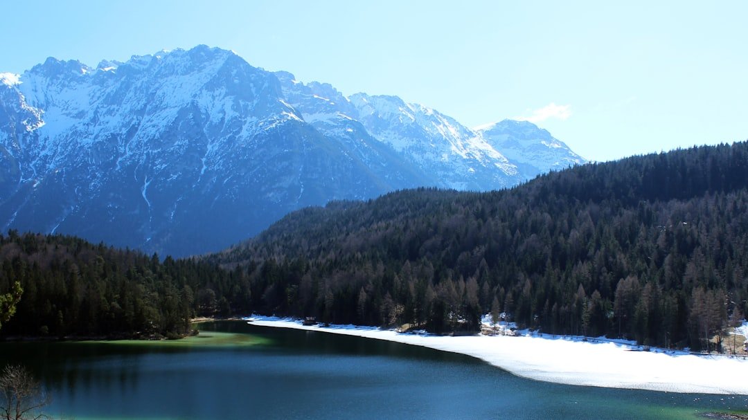 árboles verdes cerca de un lago y montaña durante el día