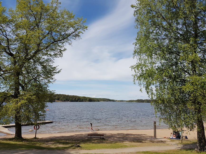 Día de verano en una playa junto al lago en Estocolmo, Suecia. Agua tranquila, cielo despejado.