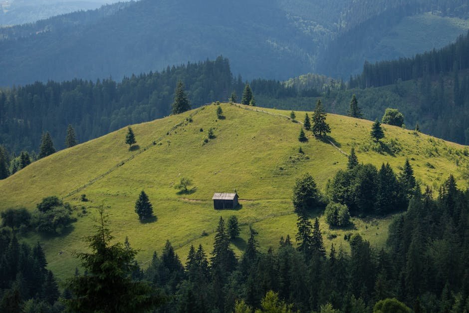 Idyllic view of a solitary cabin on a lush green hillside in Sucevița, Romania.