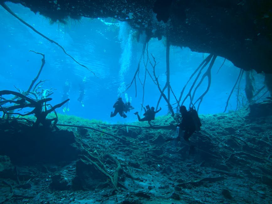 Scuba divers exploring an underwater cave with stunning blue water and intricate rock formations.