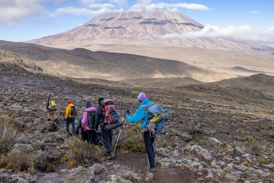 Escursionisti che esplorano i sentieri accidentati del Monte Kilimanjaro, Tanzania, circondati da panorami spettacolari.