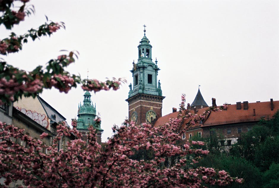 Une belle vue du château de Wawel avec des cerisiers en fleurs à Cracovie, en Pologne.