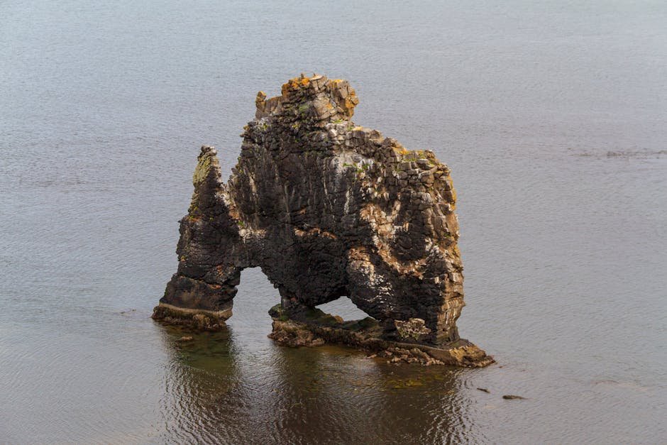 A stunning view of the unique Hvítserkur rock formation standing in the sea of Iceland.