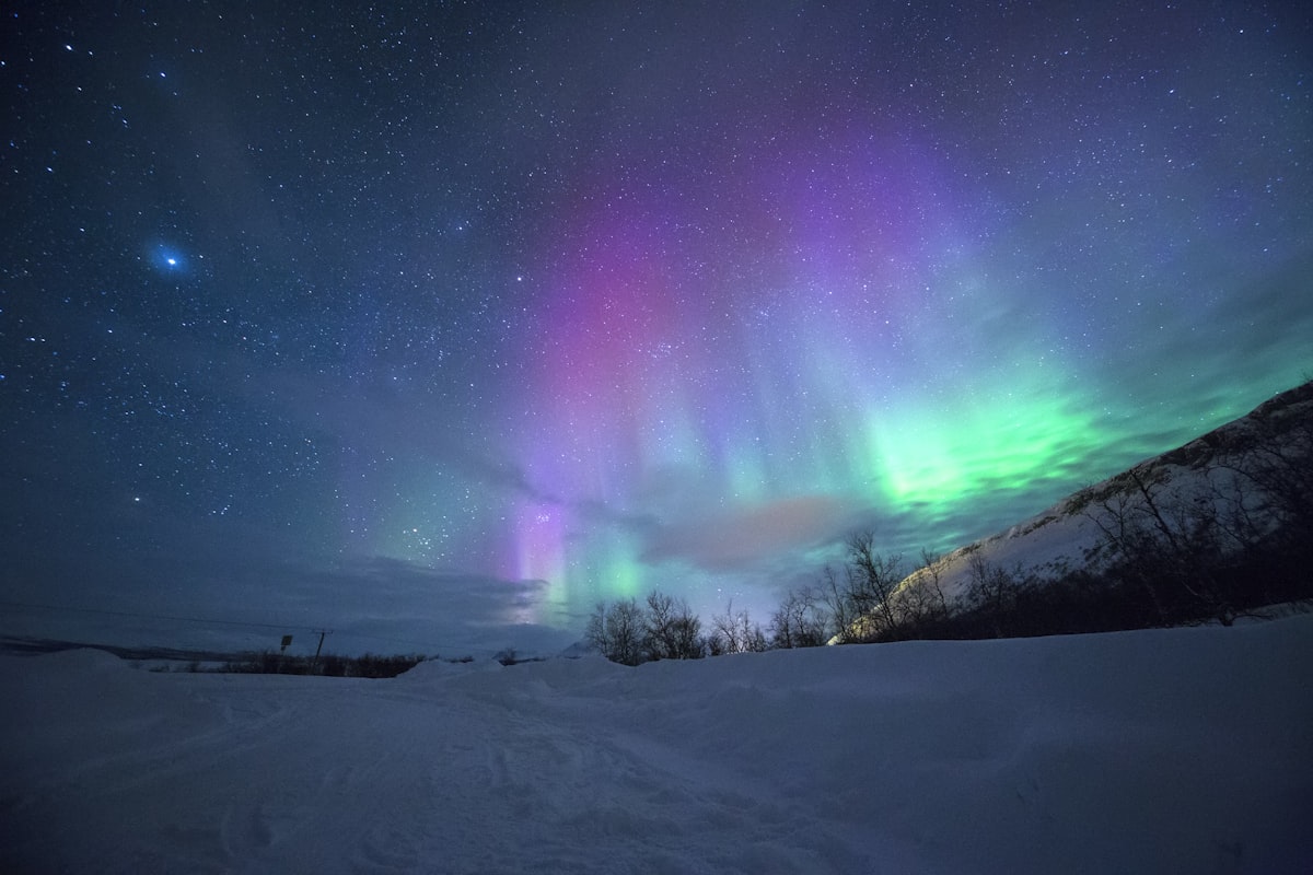 Aurora borealis green lights dancing over snowy Lapland landscape