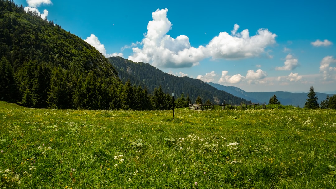 Transylvania Beyond Dracula: Romania's Wild Heart