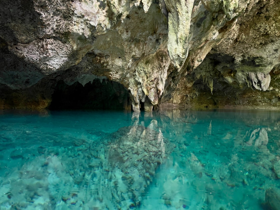 Diving the Cenotes: Mexico's Underwater Cathedral
